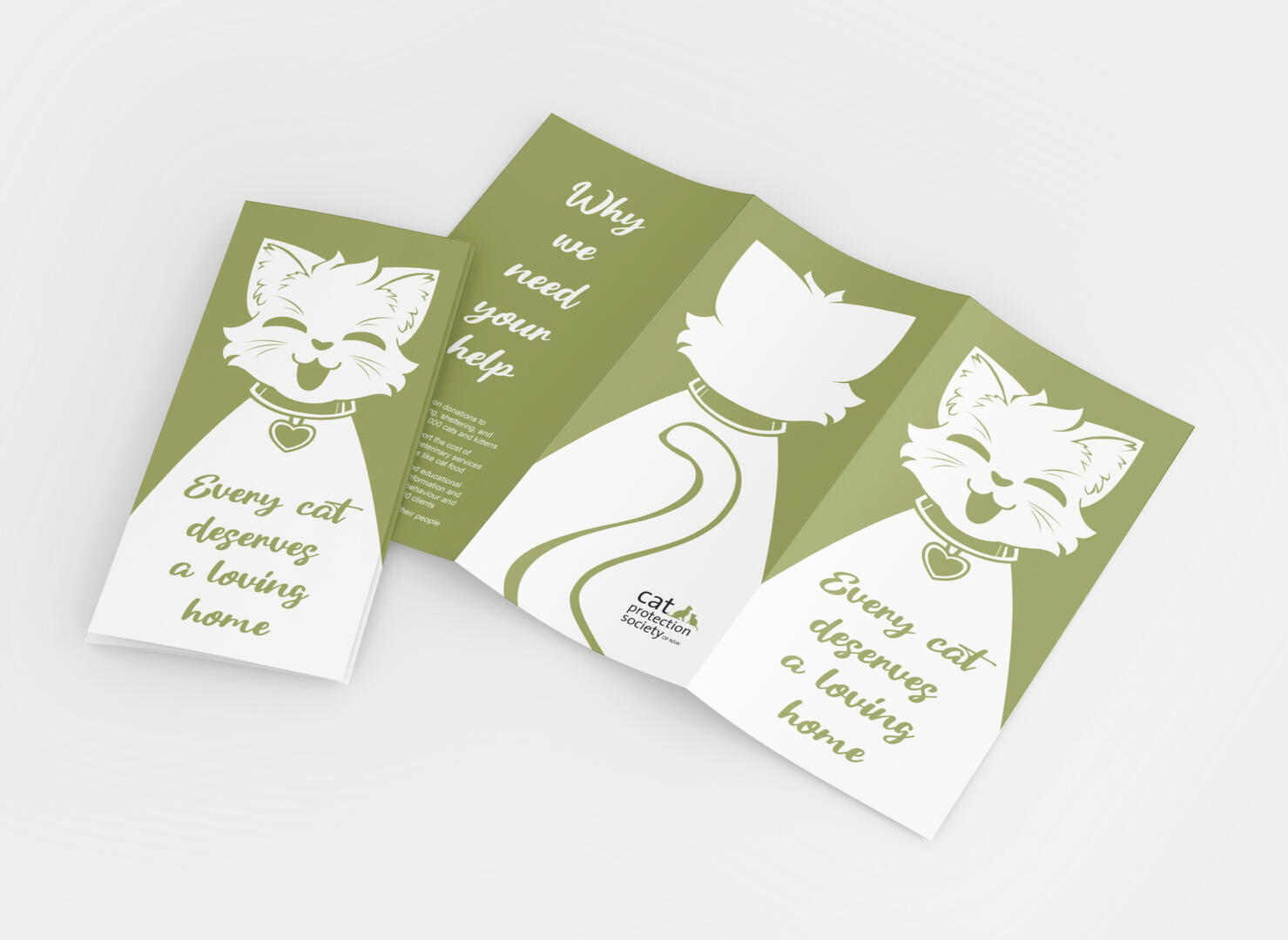 Cat Protection Society brochure design