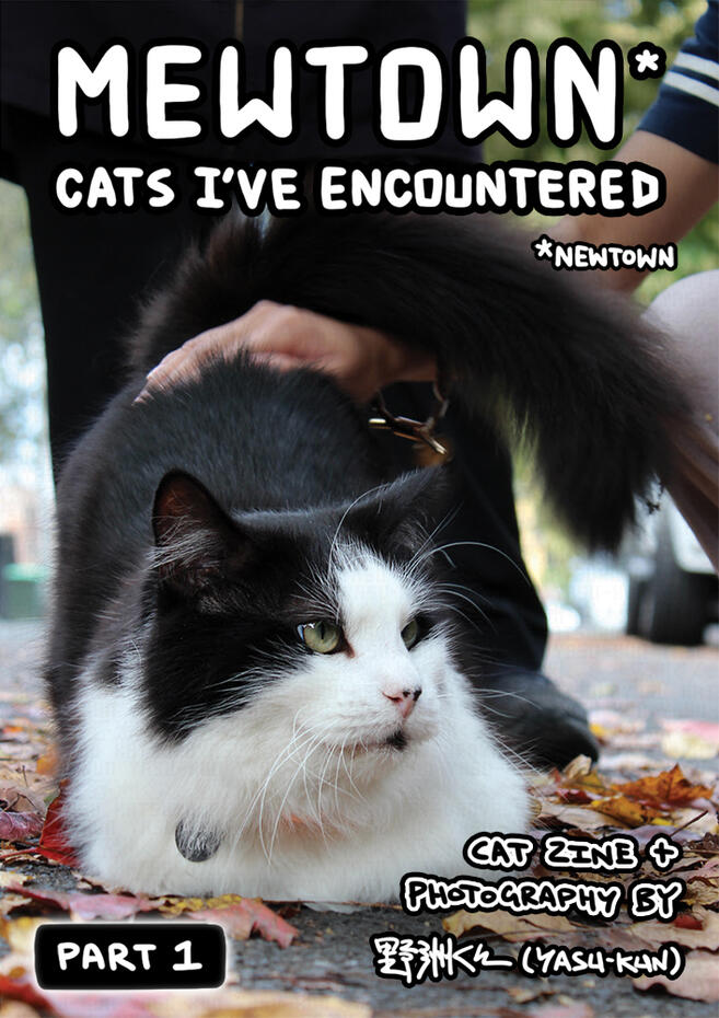 Mewtown Cats I've Encountered (Pt.1) Mewtown Cats I've Encountered (Pt.1)
