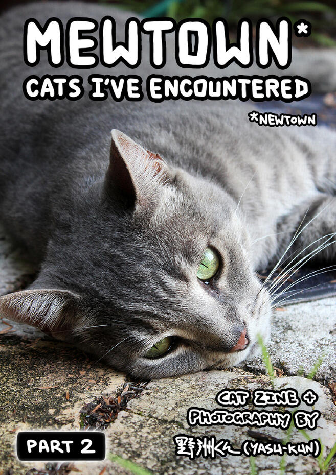 Mewtown Cats I've Encountered (Pt.2) Mewtown Cats I've Encountered (Pt.2)
