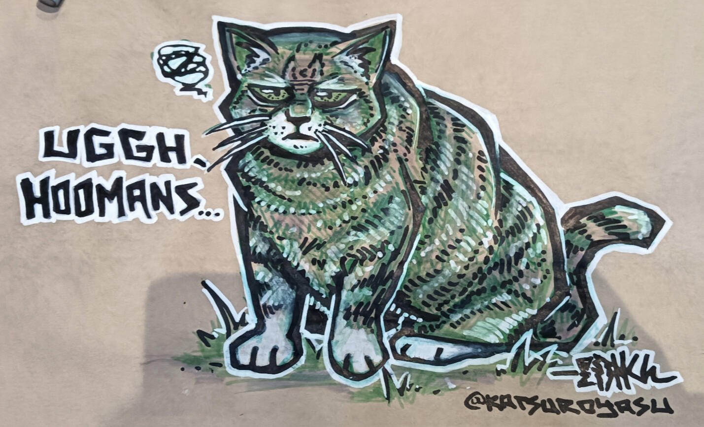 No Parking Cat No Parking Cat