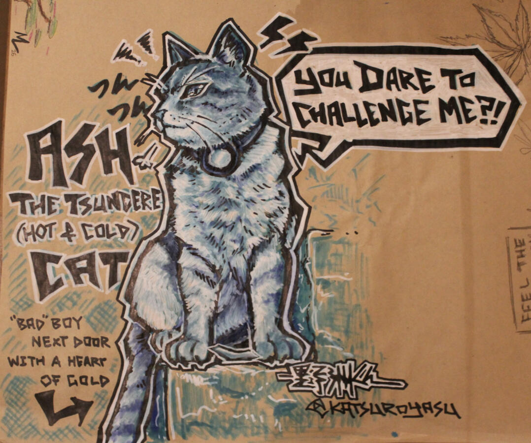 Ash the Tsundere Cat